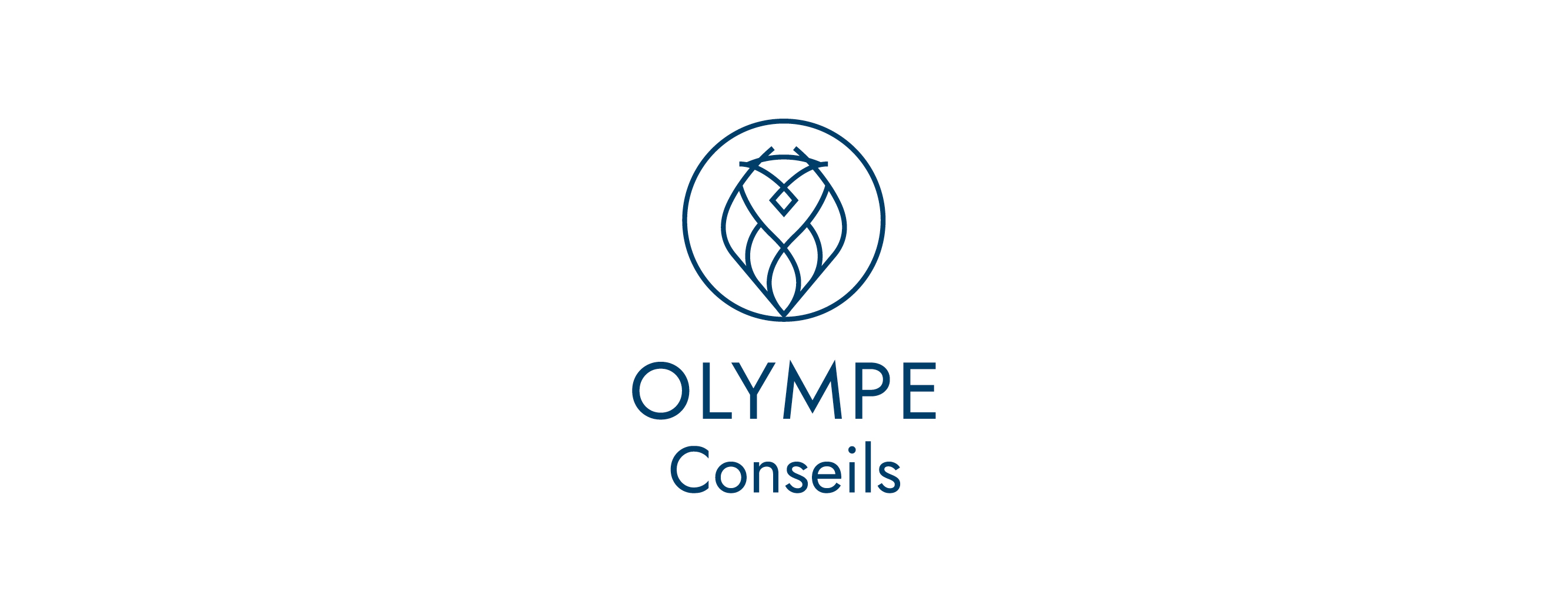 Olympe Conseils - slide9